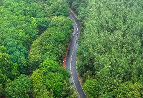 2025 Yangtze River Delta Cycling Cross-Country Race