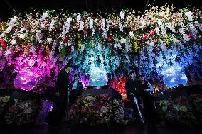 Art aquarium in Tokyo