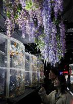 Art aquarium in Tokyo