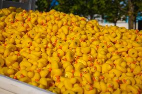 Charity duck rally