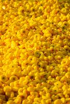 Charity duck rally