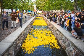 Charity duck rally