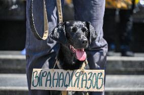 Rally in support of Ukrainian POWs in Lviv