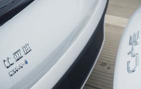 BYD Vehicles Export