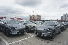 BYD Vehicles Export