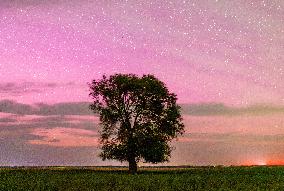 Heilongjiang Sky View - Chin
