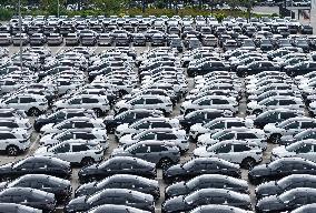 China Automotive Industry Optimization