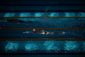 Illustration - Grand Paris Olympic Aquatic Centre