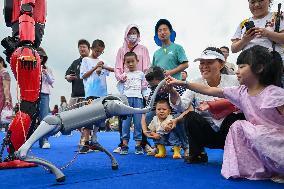 World Robot Carnival in Wuhan - China