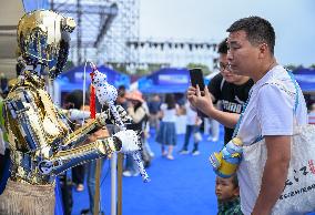 World Robot Carnival in Wuhan - China