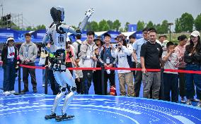 World Robot Carnival in Wuhan - China