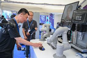 World Robot Carnival in Wuhan - China