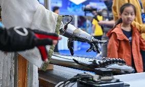 World Robot Carnival in Wuhan - China