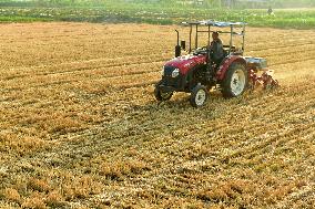 Agricultural High Yield
