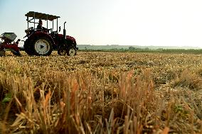 Agricultural High Yield