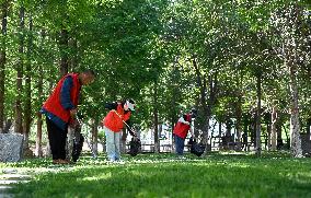 World Environment Day