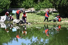 World Environment Day
