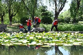 World Environment Day