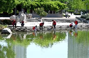 World Environment Day