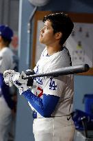 Baseball:Shohei Ohtani