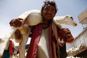 Preparing For Eid al-Adha - Sanaa