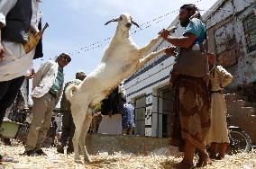 Preparing For Eid al-Adha - Sanaa