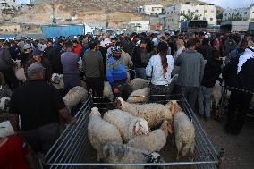 Preparing For Eid al-Adha - Hebron