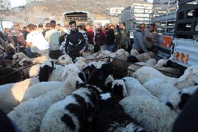 Preparing For Eid al-Adha - Hebron