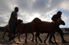 Preparing For Eid al-Adha - Hebron
