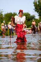 Pilgrimage of El Rocío - Seville