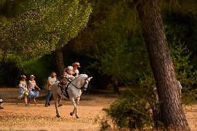 Pilgrimage of El Rocío - Seville