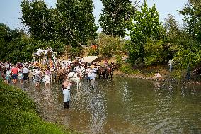 Pilgrimage of El Rocío - Seville