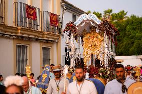 Pilgrimage of El Rocío - Seville
