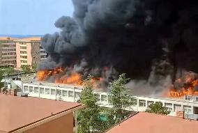 The Viterbo Faculty of Agriculture on Fire - Italy