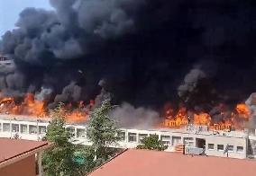 The Viterbo Faculty of Agriculture on Fire - Italy