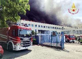 The Viterbo Faculty of Agriculture on Fire - Italy
