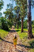 Illustration - Cannes Croisette