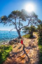 Illustration - Cannes Croisette