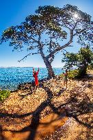 Illustration - Cannes Croisette