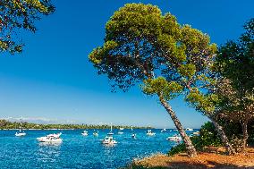 Illustration - Cannes Croisette