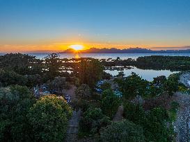 Illustration - Cannes Croisette