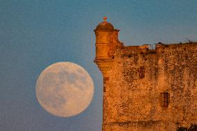 Illustration - Cannes Croisette