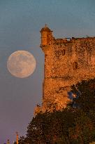 Illustration - Cannes Croisette