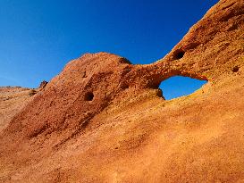 Illustration - Provence