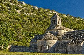 Illustration - Provence