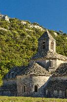 Illustration - Provence