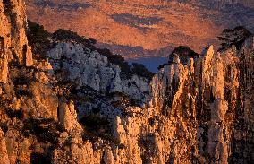 Illustration - Provence