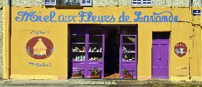 Illustration - Provence