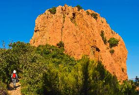 Illustration - Provence