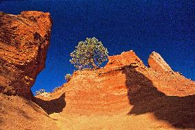 Illustration - Provence